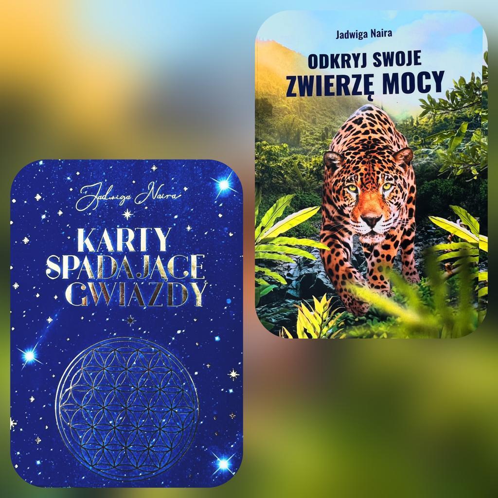 PROMOCJA Ostatnie Sztuki Serii Zestaw Ksi ka Odkryj Swoje Zwierz PROMOCJA Ostatnie Sztuki Serii Zestaw Ksi ka Odkryj Swoje Zwierz